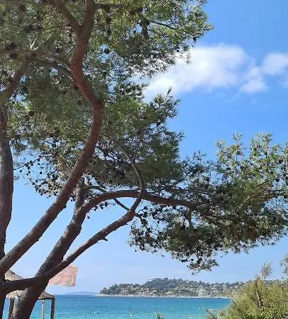 Le Tamaya T2 En Rez De Jardin A 2 Pas D Belle De Toutes Commodites Et Centre Port *